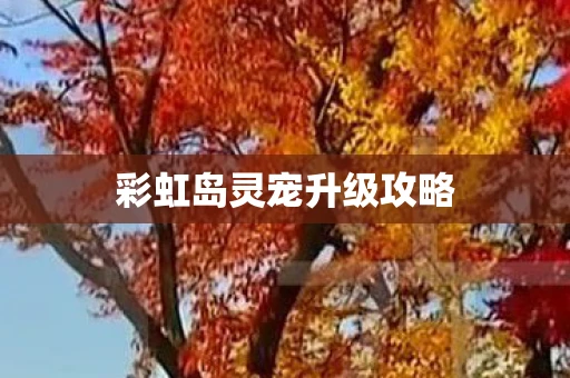 彩虹岛灵宠升级攻略