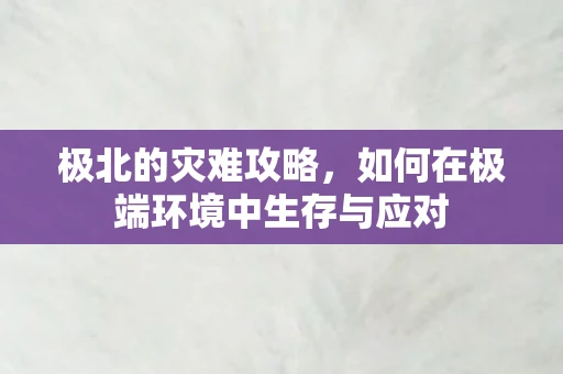 极北的灾难攻略，如何在极端环境中生存与应对