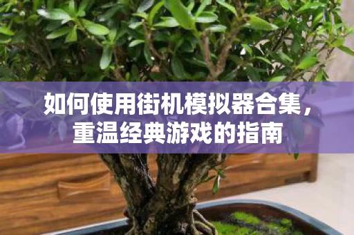 如何使用街机模拟器合集图片