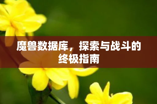 魔兽数据库，探索与战斗的终极指南