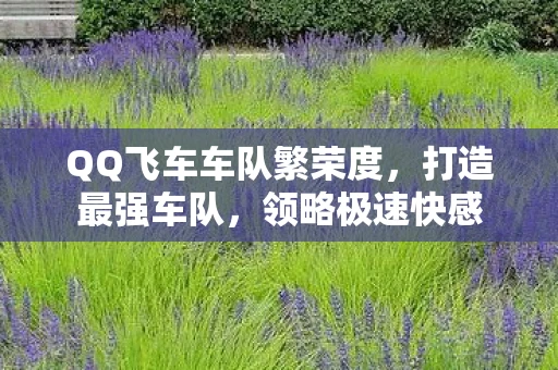 QQ飞车车队繁荣度，打造最强车队，领略极速快感