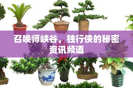 召唤师峡谷，独行侠的秘密资讯频道