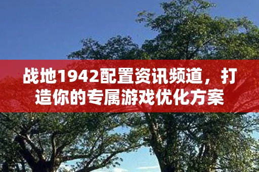 战地1942配置资讯频道，打造你的专属游戏优化方案