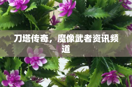 刀塔传奇，魔像武者资讯频道