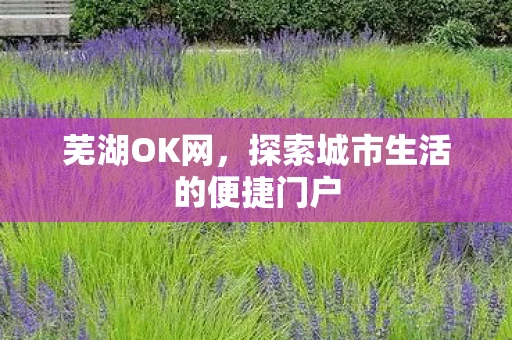 芜湖OK网，探索城市生活的便捷门户