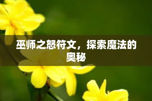 巫师之怒符文，探索魔法的奥秘