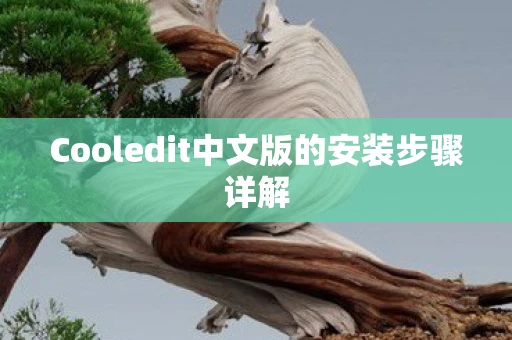 Cooledit中文版的安装步骤详解