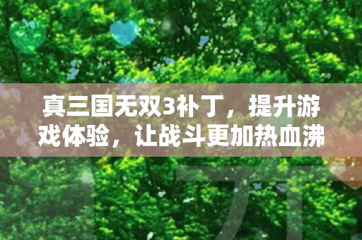 真三国无双3补丁，提升游戏体验，让战斗更加热血沸腾