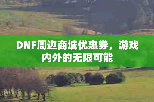 DNF周边商城优惠券，游戏内外的无限可能
