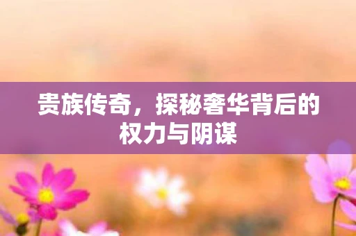 贵族传奇，探秘奢华背后的权力与阴谋