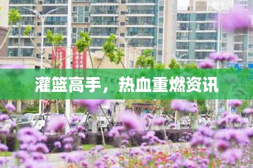 灌篮高手，热血重燃资讯