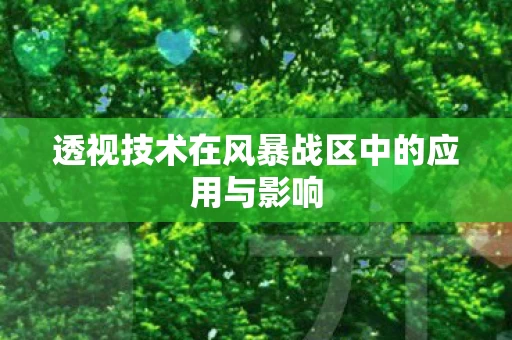 透视技术在风暴战区中的应用与影响图片