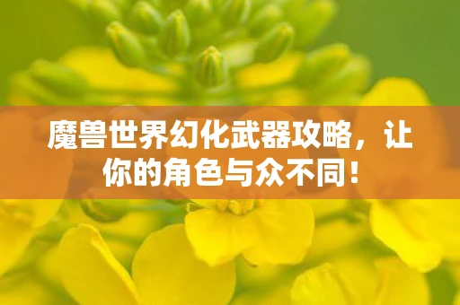 魔兽世界幻化武器攻略，让你的角色与众不同！