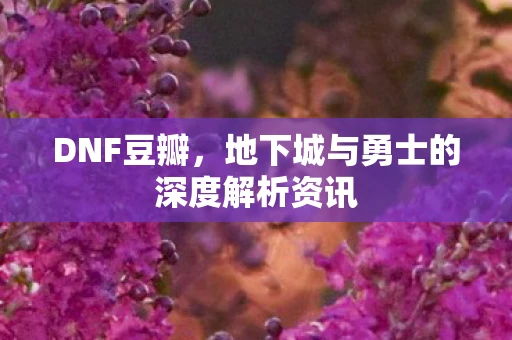 DNF豆瓣，地下城与勇士的深度解析资讯