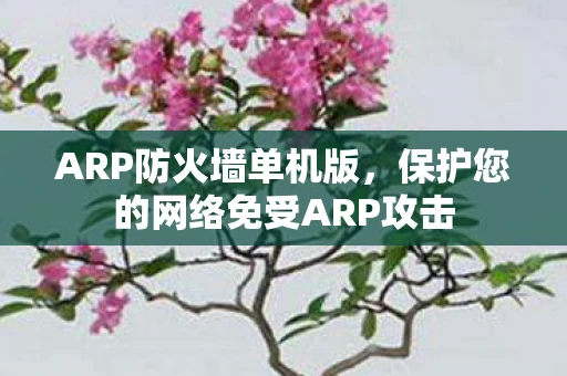 ARP防火墙单机版，保护您的网络免受ARP攻击