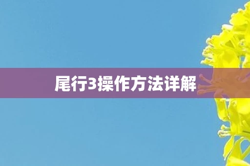 尾行3操作方法详解图片