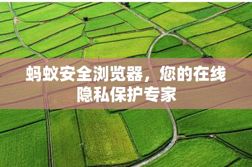 蚂蚁安全浏览器，您的在线隐私保护专家