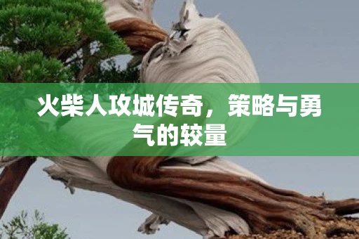 火柴人攻城传奇，策略与勇气的较量