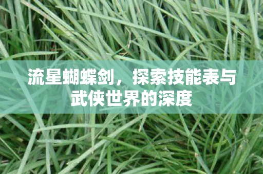 流星蝴蝶剑，探索技能表与武侠世界的深度