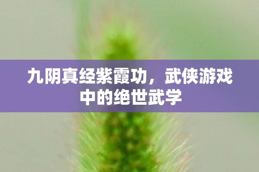 九阴真经紫霞功，武侠游戏中的绝世武学