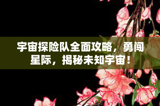 宇宙探险队全面攻略，勇闯星际，揭秘未知宇宙！