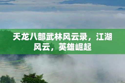 天龙八部武林风云录，江湖风云，英雄崛起