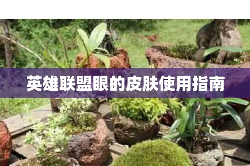 英雄联盟眼的皮肤使用指南