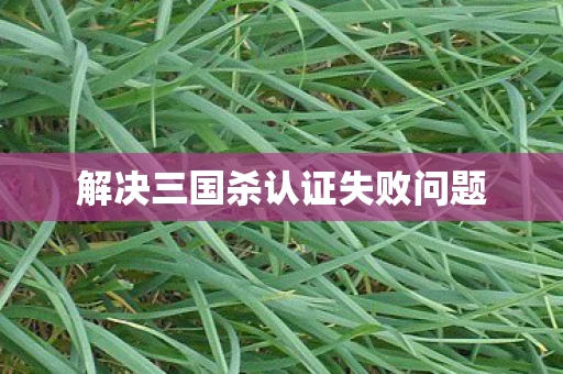 解决三国杀认证失败问题