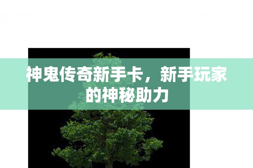 神鬼传奇新手卡，新手玩家的神秘助力