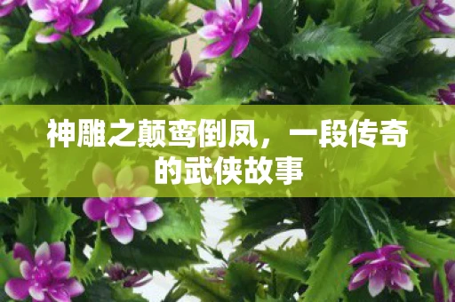 神雕之颠鸾倒凤，一段传奇的武侠故事