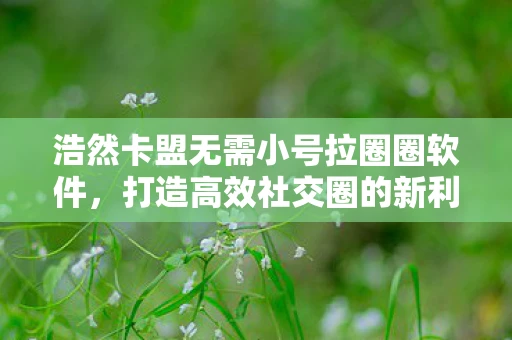 浩然卡盟无需小号拉圈圈软件，打造高效社交圈的新利器