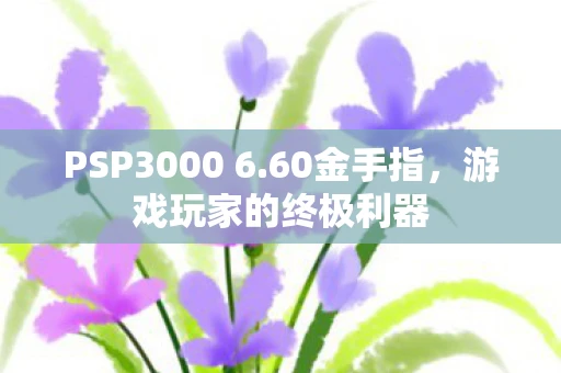 PSP3000 6.60金手指，游戏玩家的终极利器