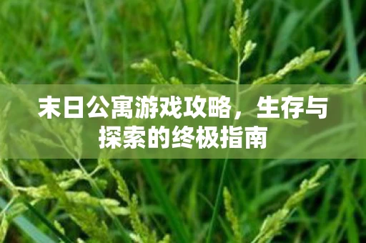 末日公寓游戏攻略，生存与探索的终极指南