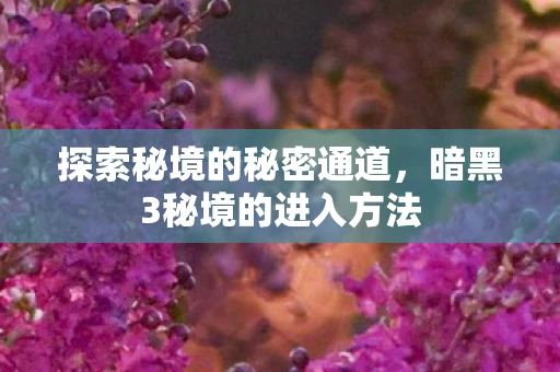 探索秘境的秘密通道，暗黑3秘境的进入方法