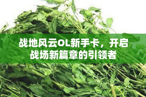 开启战场新篇章的引领者图片