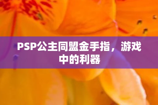 PSP公主同盟金手指，游戏中的利器