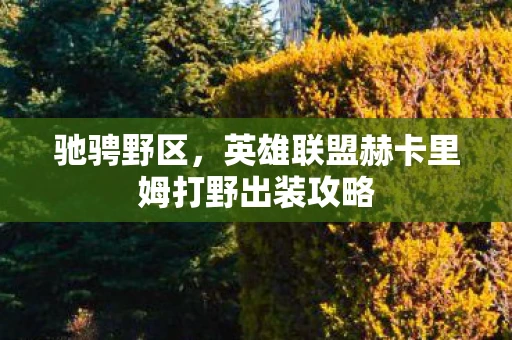 驰骋野区，英雄联盟赫卡里姆打野出装攻略