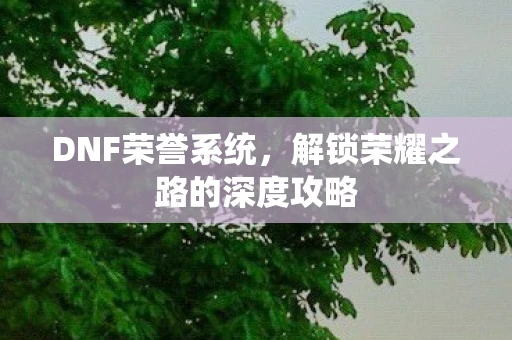 DNF荣誉系统，解锁荣耀之路的深度攻略