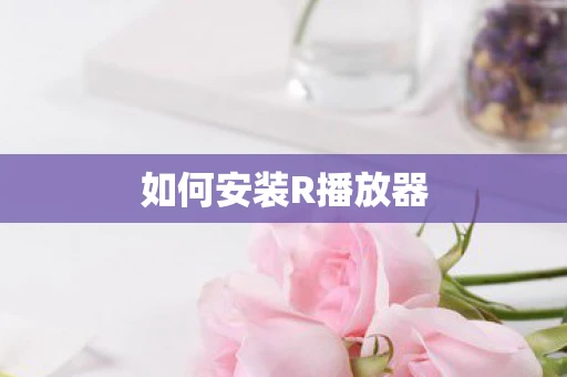 如何安装R播放器
