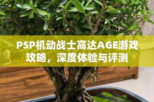 PSP机动战士高达AGE游戏攻略，深度体验与评测