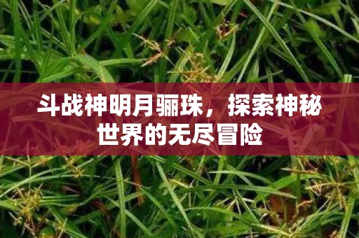 斗战神明月骊珠，探索神秘世界的无尽冒险