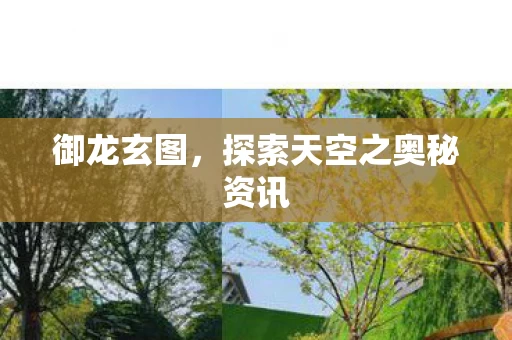 探索天空之奥秘资讯图片