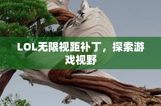 LOL无限视距补丁，探索游戏视野