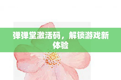 弹弹堂激活码，解锁游戏新体验