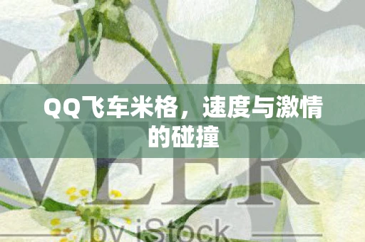 QQ飞车米格，速度与激情的碰撞