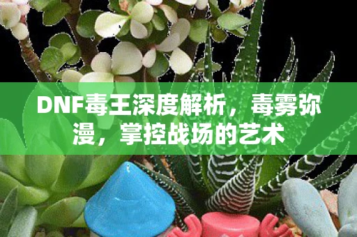 DNF毒王深度解析，毒雾弥漫，掌控战场的艺术