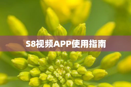 S8视频APP使用指南图片