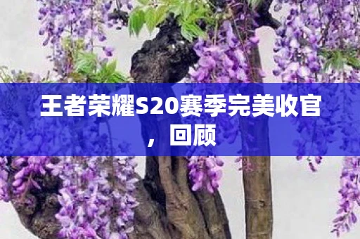 王者荣耀S20赛季完美收官，回顾