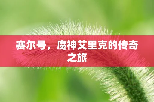 赛尔号，魔神艾里克的传奇之旅