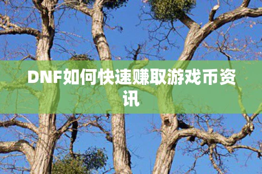 DNF如何快速赚取游戏币资讯